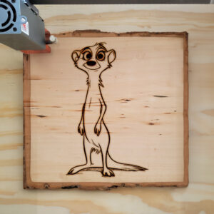 66577_wood-laser-1.jpg