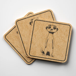 66581_coaster-1.jpg