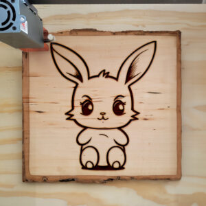 66609_wood-laser-1.jpg