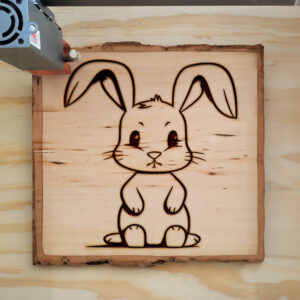 66611_wood-laser-1.jpg