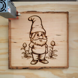 66639_wood-laser-1.jpg