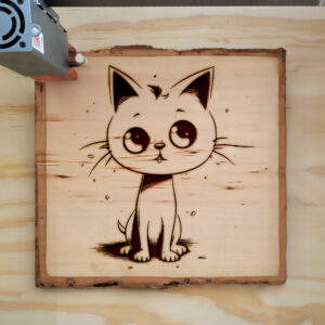 66658_wood-laser-1.jpg
