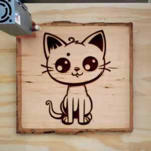 66660_wood-laser-1.jpg