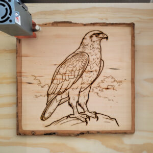 66688_wood-laser-1.jpg