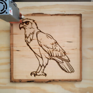 66690_wood-laser-1.jpg