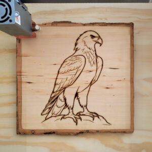 66692_wood-laser-1.jpg