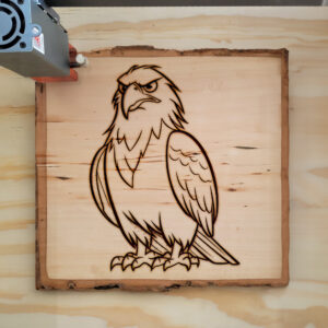 66704_wood-laser-1.jpg