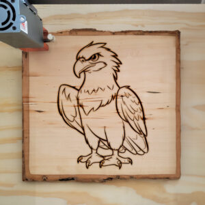 66708_wood-laser-1.jpg
