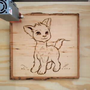 66712_wood-laser-1.jpg