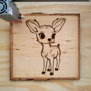 66726_wood-laser-1.jpg