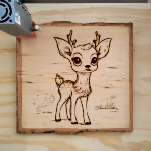 66732_wood-laser-1.jpg