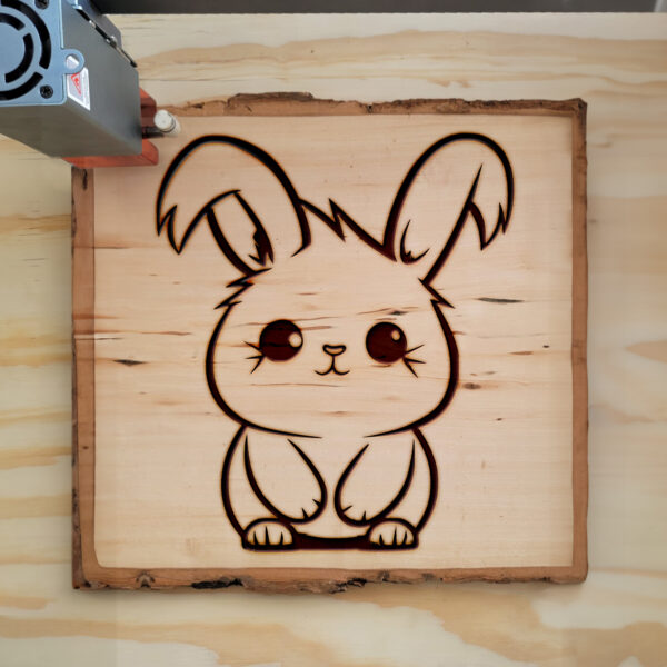 66773_wood-laser-1.jpg