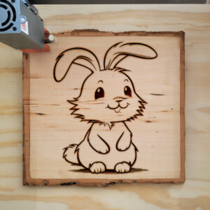 66778_wood-laser-1.jpg