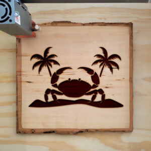 74396_wood-laser-1.jpg