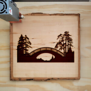 74507_wood-laser-1.jpg