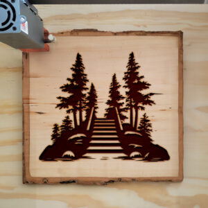 74509_wood-laser-1.jpg