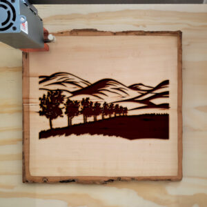 74548_wood-laser-1.jpg