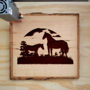 74610_wood-laser-1.jpg