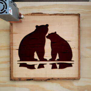 74654_wood-laser-1.jpg