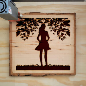 74680_wood-laser-1.jpg