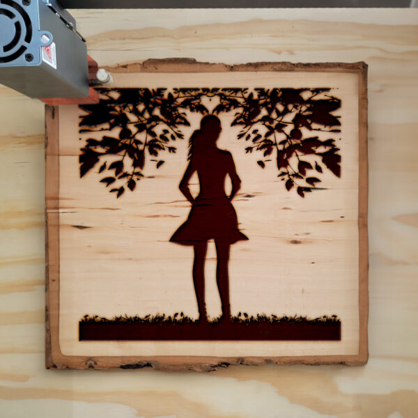 74680_wood-laser-1.jpg