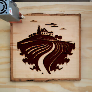 74708_wood-laser-1.jpg