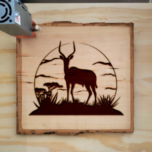74753_wood-laser-1.jpg