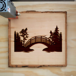 74795_wood-laser-1.jpg