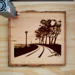 74803_wood-laser-1.jpg