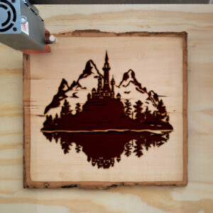 74827_wood-laser-1.jpg