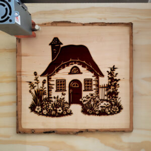 74831_wood-laser-1.jpg
