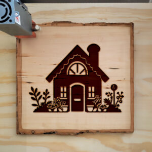 74839_wood-laser-1.jpg
