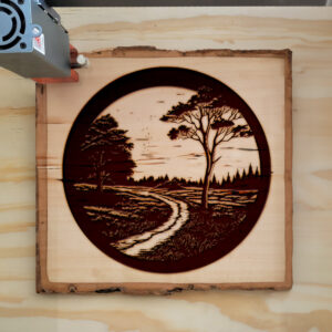 74844_wood-laser-1.jpg