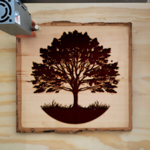 74902_wood-laser-1.jpg