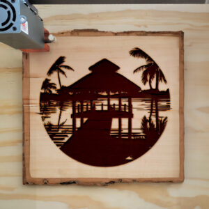 74906_wood-laser-1.jpg
