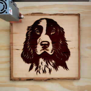 74912_wood-laser-1.jpg