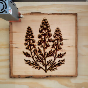 74952_wood-laser-1.jpg