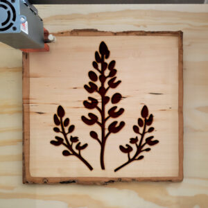 74966_wood-laser-1.jpg