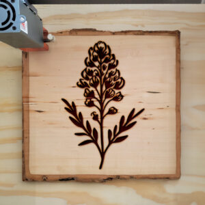 74968_wood-laser-1.jpg
