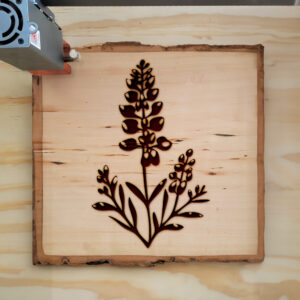 74974_wood-laser-1.jpg