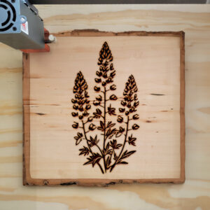 75000_wood-laser-1.jpg