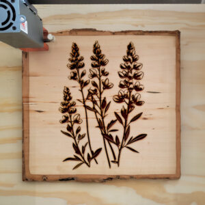 75002_wood-laser-1.jpg