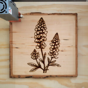 75006_wood-laser-1.jpg