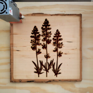 75014_wood-laser-1.jpg