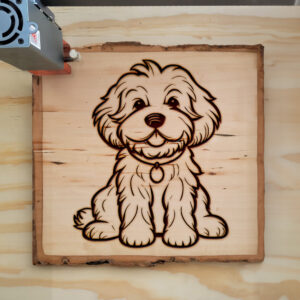 82313_wood-laser-1.jpg