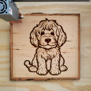 82315_wood-laser-1.jpg