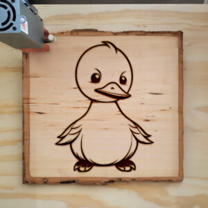82331_wood-laser-1.jpg