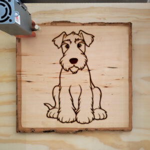 82389_wood-laser-1.jpg