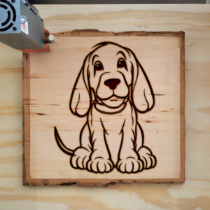 82401_wood-laser-1.jpg