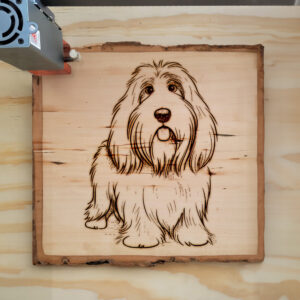 82407_wood-laser-1.jpg